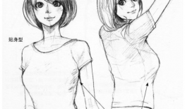 动漫胸部,胸部线条的艺术演绎