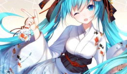 初音未来动漫,虚拟偶像的奇迹之旅